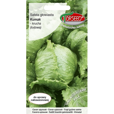 Sałata krucha lodowa Kumak nasiona